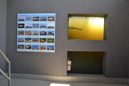 Tisza-tavi Kerékpárkölcsönzés Abádszalók