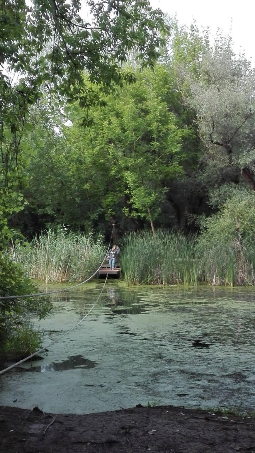 Tisza-tavi Kerékpárkölcsönzés Abádszalók