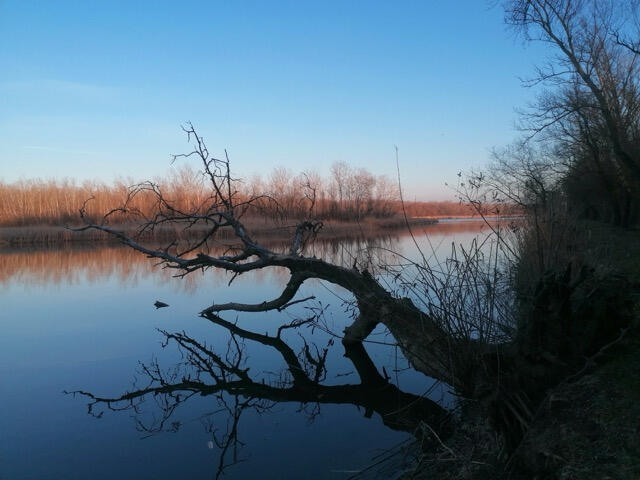 Tisza-tavi Kerékpárkölcsönzés Abádszalók