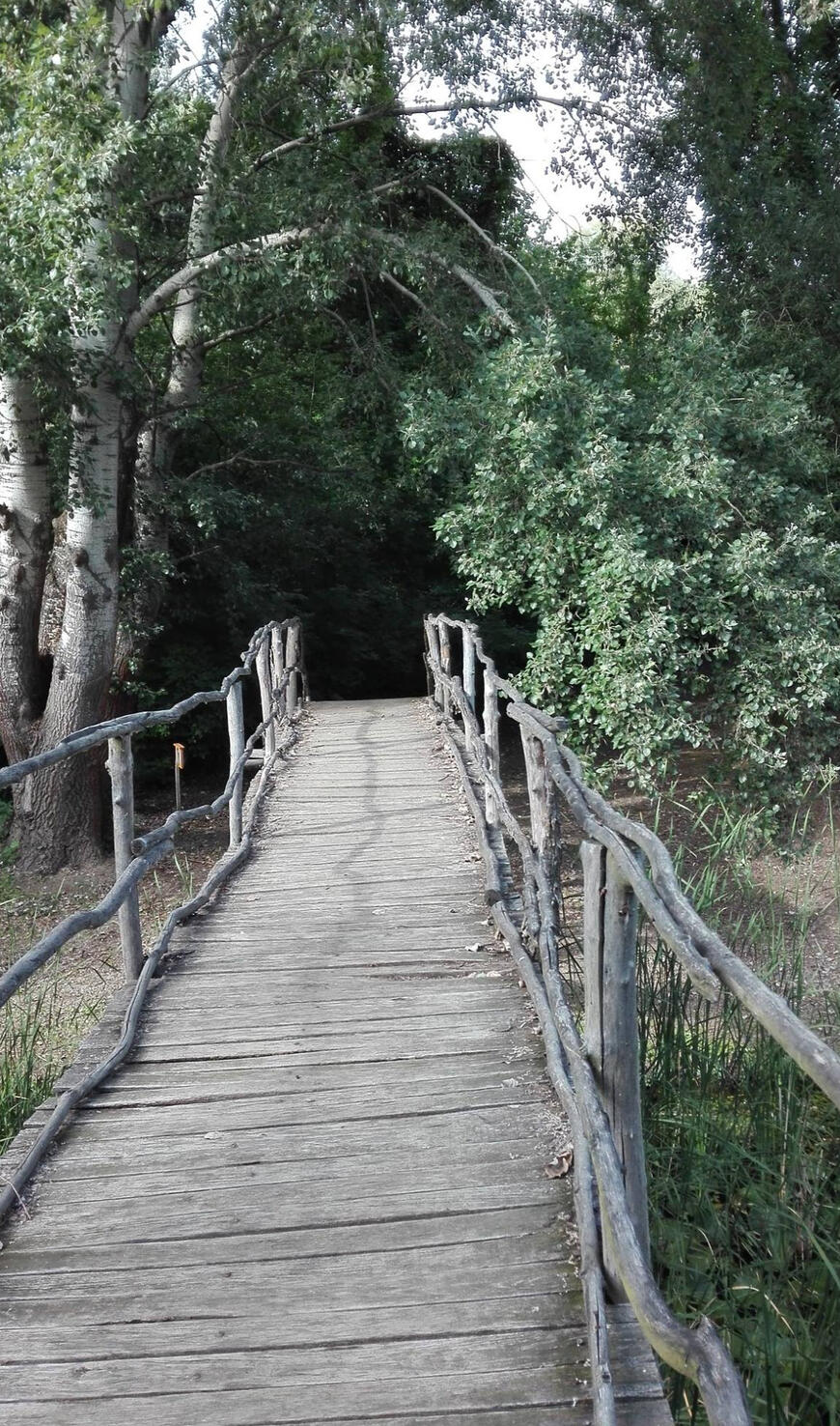 Tisza-tavi Kerékpárkölcsönzés Abádszalók